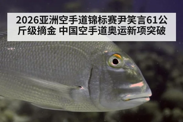 2026亚洲空手道锦标赛尹笑言61公斤级摘金 中国空手道奥运新项突破