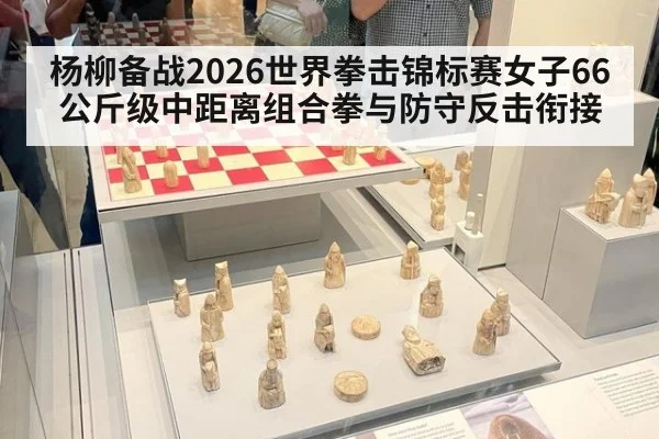 杨柳备战2026世界拳击锦标赛女子66公斤级中距离组合拳与防守反击衔接
